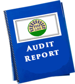 Audit report